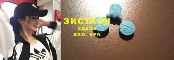 крисы Армянск
