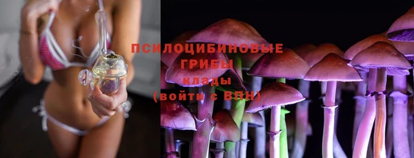 соль ск Балахна