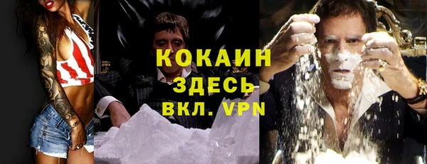 крисы Армянск