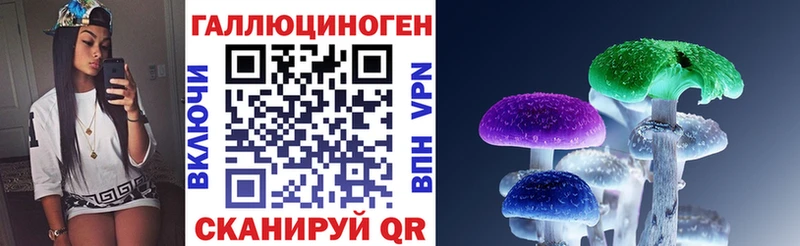 Галлюциногенные грибы Psilocybine cubensis наркотики Пугачёв